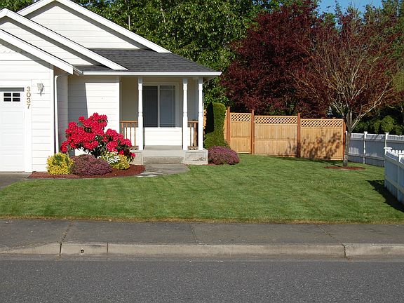 Front Yard