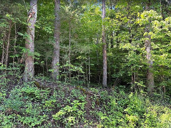 5th image of 0 Spring Creek Rd