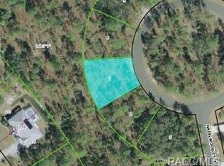 8 Hazelwood Ct S, Homosassa, FL 34446