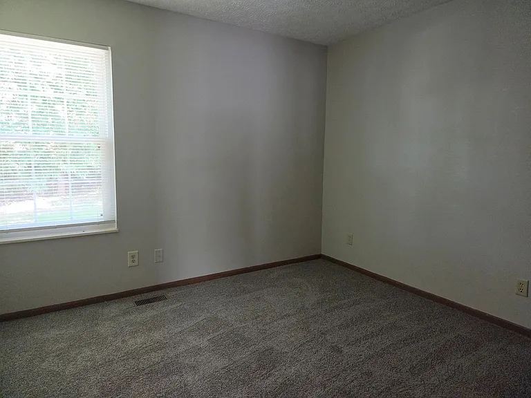 2208 Big Tree Dr — Photo 8