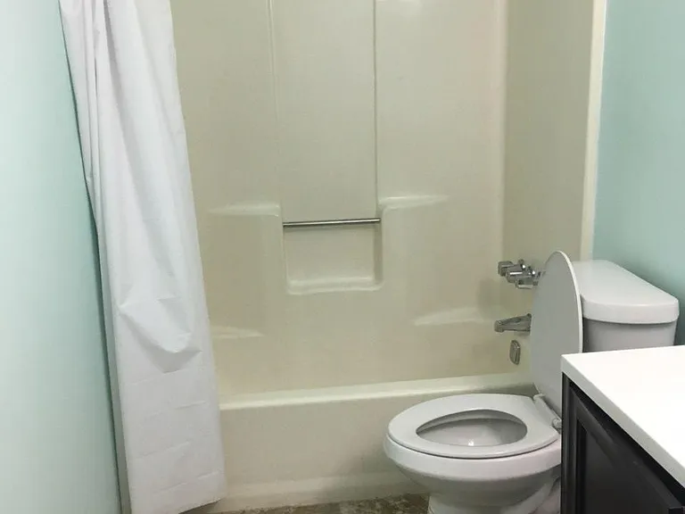 Back/Master bathroom remodel