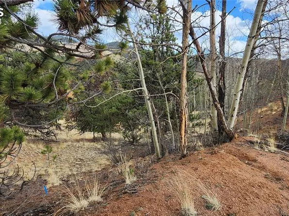 188 Molly Kathleen Dr, Cripple Creek, CO 80813