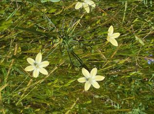 28251 Deertrail Dr #149, Tehachapi, CA 93561