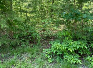410 Lora Woods Rd, Pine Knot, KY 42635