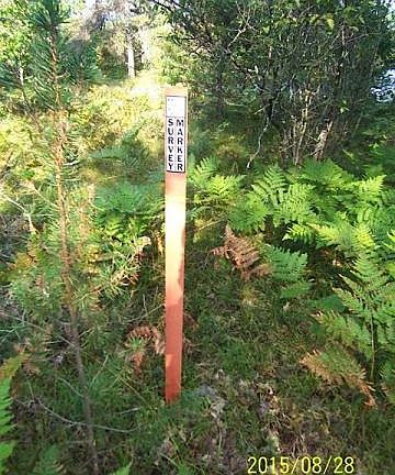 5th image of 9270 N Higgins Lake Dr