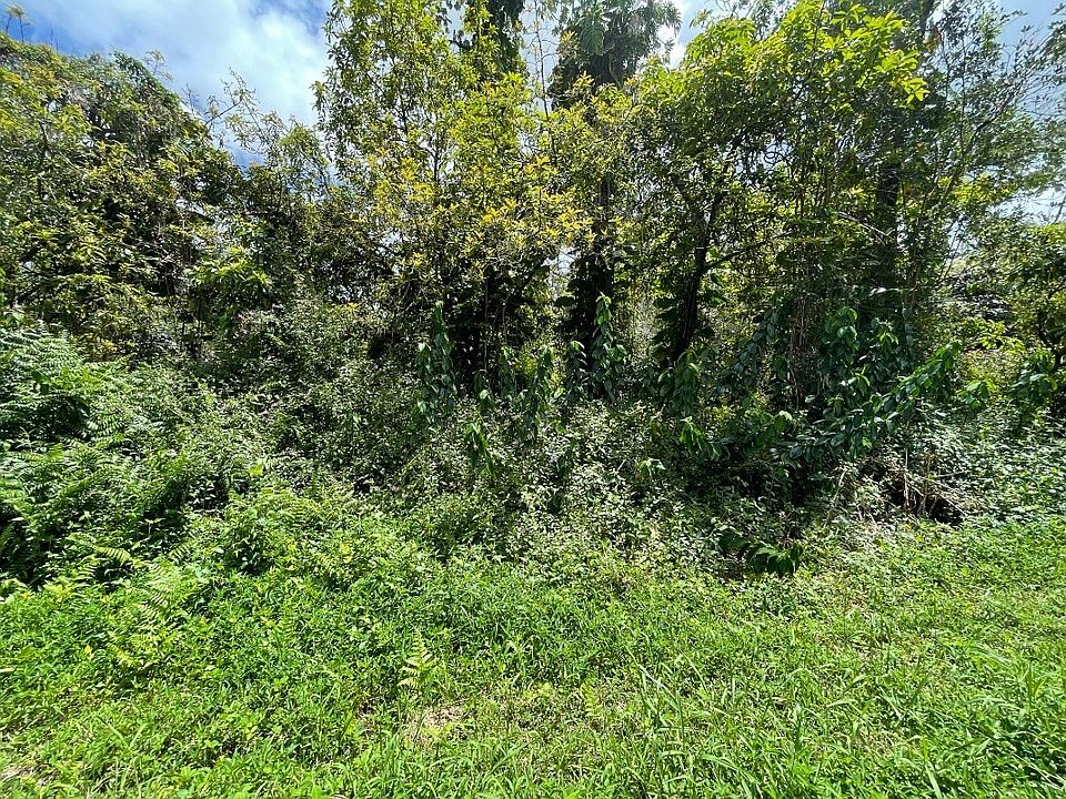 2nd image of Flower Rd Lot 279