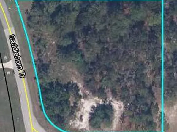 4200 MAIL COACH Court, Middleburg, FL 32068