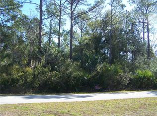 9 Service Berry Pl, Palm Coast, FL 32164