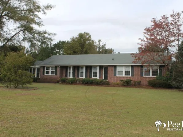 4639 Armfield Rd, Effingham, SC 29541