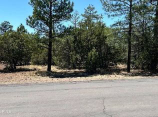 4864 Bison Trl #40, Lakeside, AZ 85929