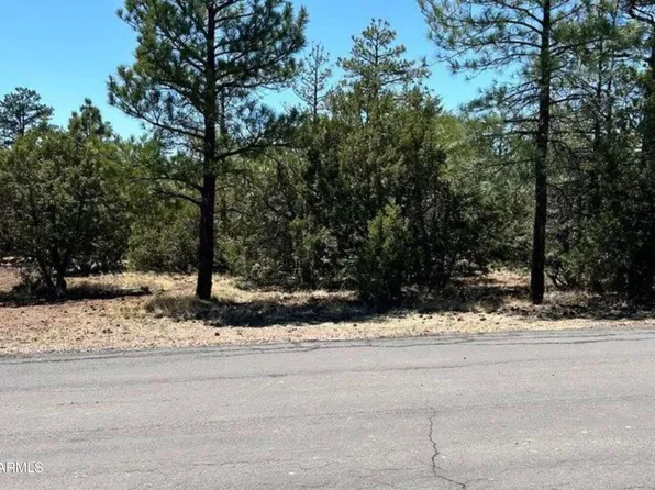4864 BISON Trail #40, Lakeside, AZ 85929