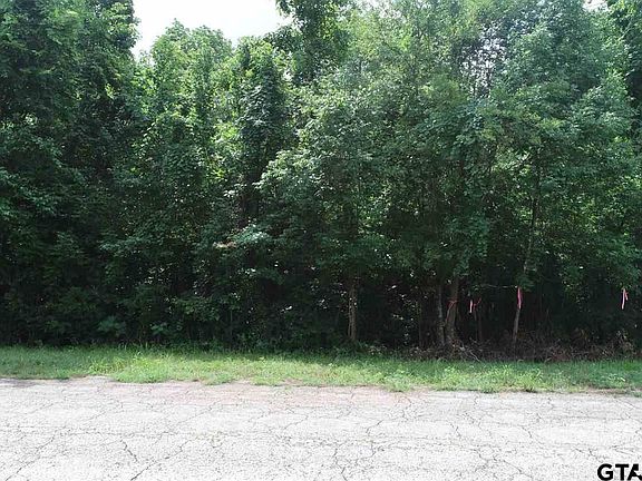 5th image of TRACT 4 County Road 3210