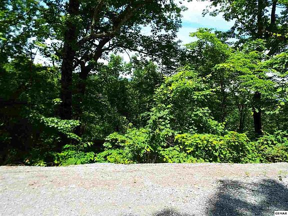 4th image of 11 Wildcat Ridge Rd Lot 11
