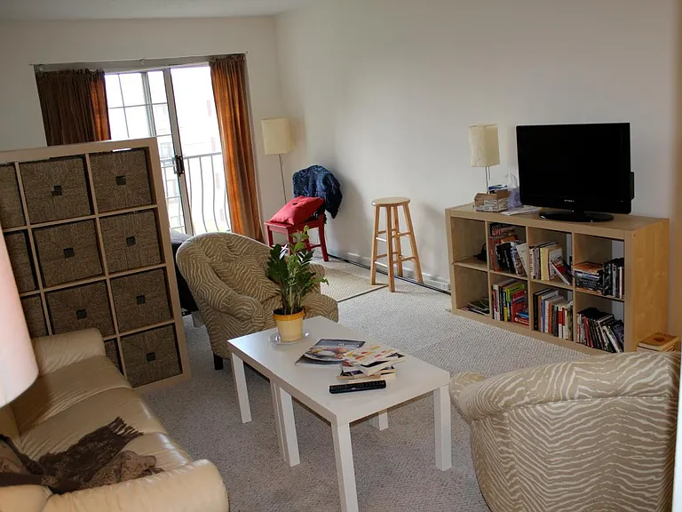 Main Living area