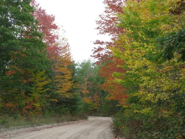 Sorensen Rd, Hillman, MI 49746