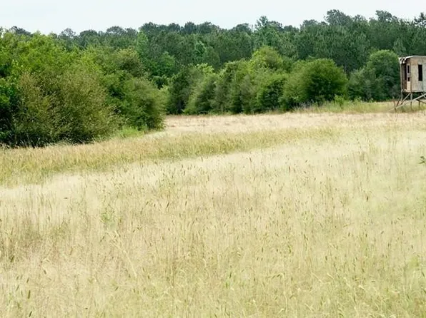 Xx Fortenberry Rd, Tylertown, MS 39667