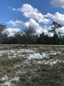 491 Hobbs Dr #12, Venus, FL, 33960