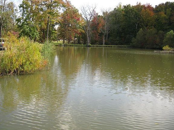 3 Acre Pond