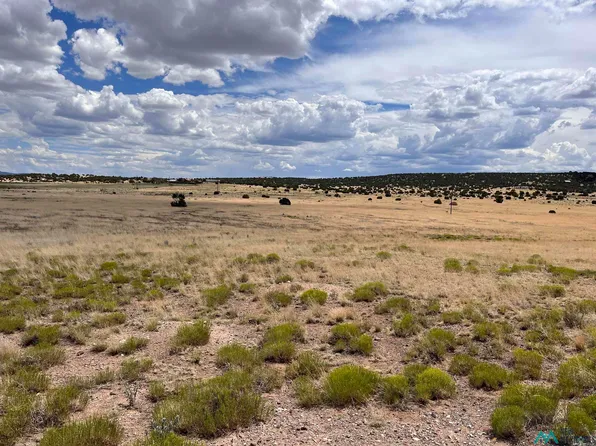 144 Quail Rd, Quemado, NM 87829