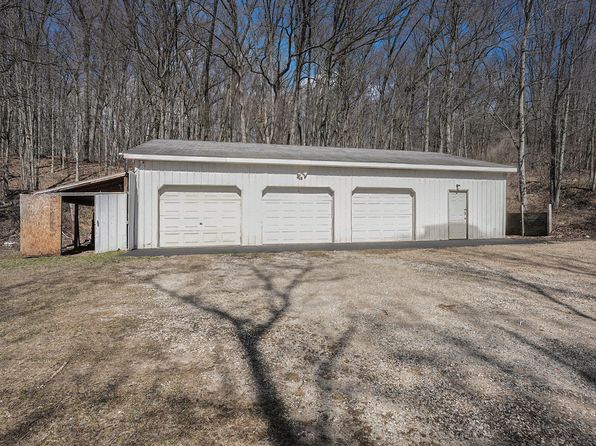 8260 Palmer Rd, Belding, MI 48809