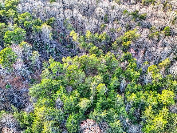 3rd image of 0 Cribbs Way