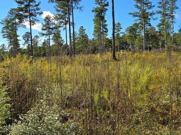 LOT 9 Millville Rd, Lawrenceville, VA 23868