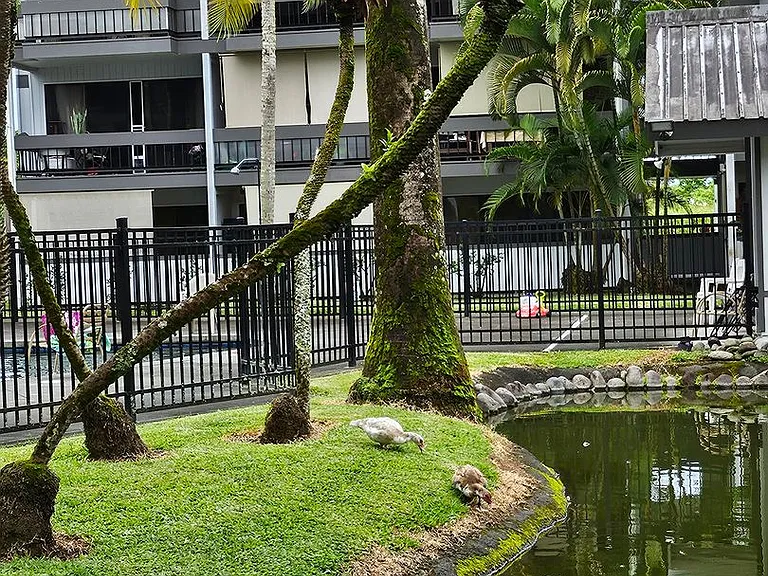 400 Hualani St #106 — Photo 9