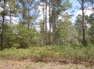 10355 Crotty Ave, Hastings, FL 32145