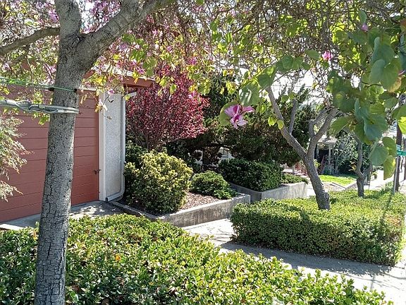 3rd image of 8415 Lemon Ave