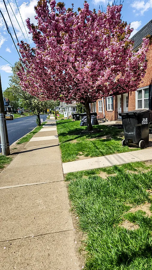 Park Place — Photo 1