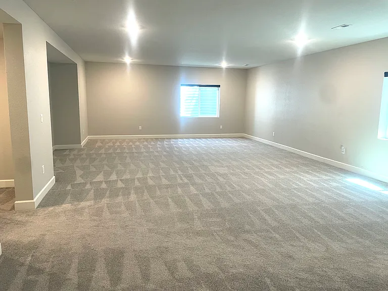 Basement Great Room
