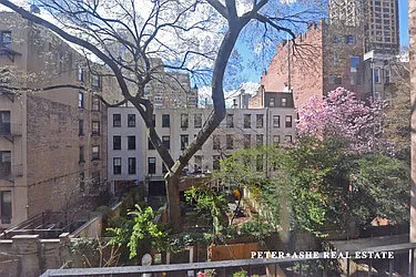 Rented by Peter Ashe