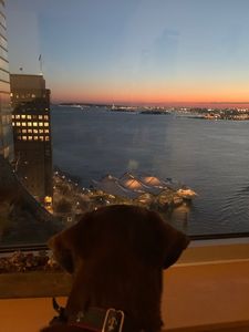 20 River Ter APT 25E, New York, NY, 10282