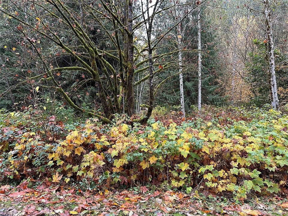 2nd image of 54165 Steelhead Landing Road
