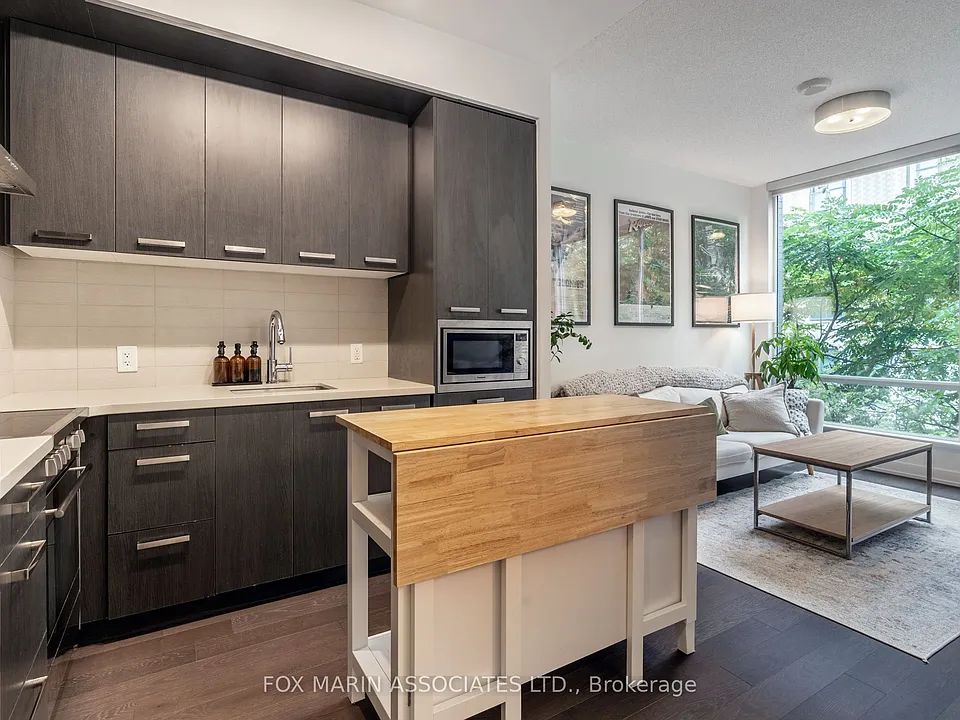 455 Front St E #N215