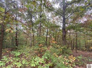 408 Black Locust Dr #408, Murray, KY 42071