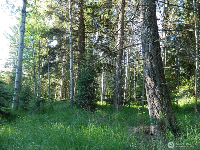 2nd image of 0 TBD Lake View Drive