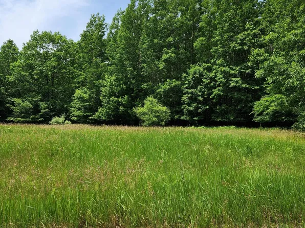 64 Opal Ridge Dr, Onekama, MI 49675