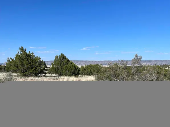 34218 W Vidrio Rd, Seligman, AZ 86337