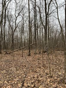 15846 W Pank Road, Stone Lake, WI, 54876