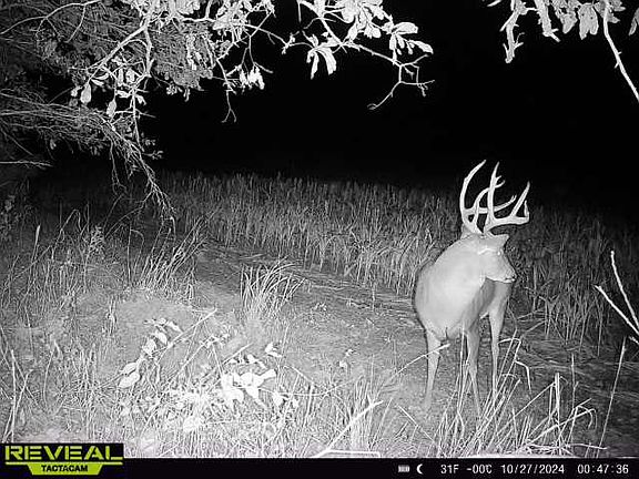 4th image of 120 Th Rd