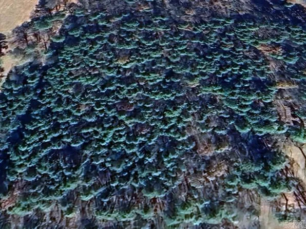 (undisclosed Address), Clarksville, AR 72830