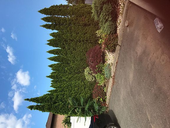 5th image of 520 Durant Ave