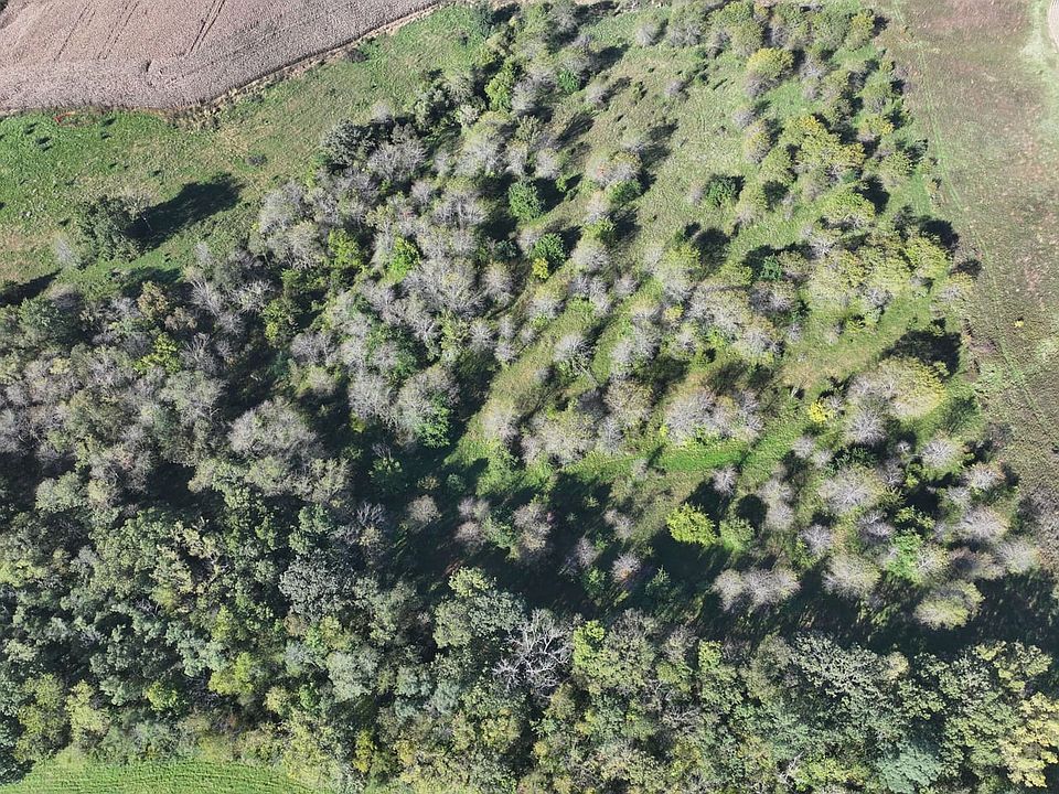 DJI_20261006094051_0990_D