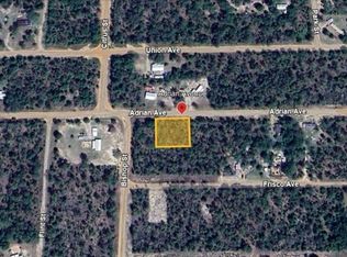 Adrian Avenue Lot #2, Interlachen, FL 32148