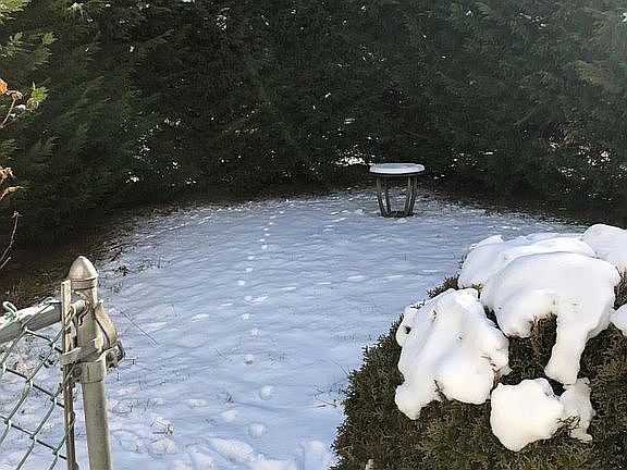 corner lot. fenced in yard