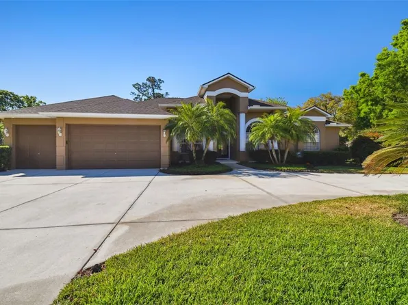 1079 Riverside Ridge Rd, Tarpon Springs, FL 34688