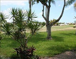 1st image of 3085 N Palm Aire Dr