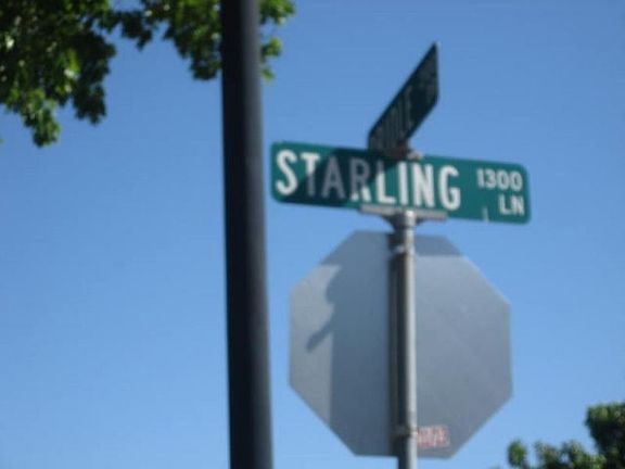 5th image of 1338 Starling Ln