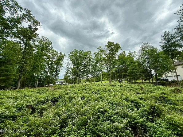 Roadarmel Ln, Paxinos, PA 17860